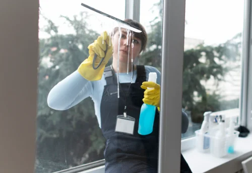 Nettoyage de vitres intérieures et extérieures à Fossé